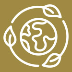 Eco-friendly Icon