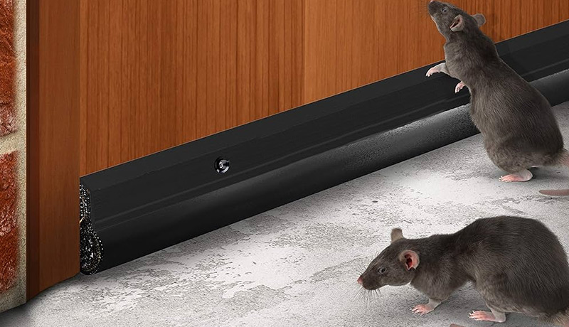 Rodent-proofing & Control